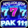 PAK 111 GAME