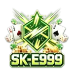 E999 Game Download Now