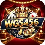 WGS456 Game Download New Official Earning App in Pakistan