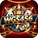 WGS456 Game Download New Official Earning App in Pakistan
