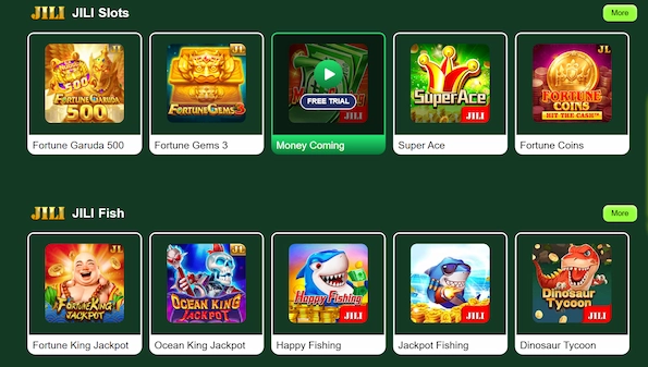 PK11 Game New popular Earning App